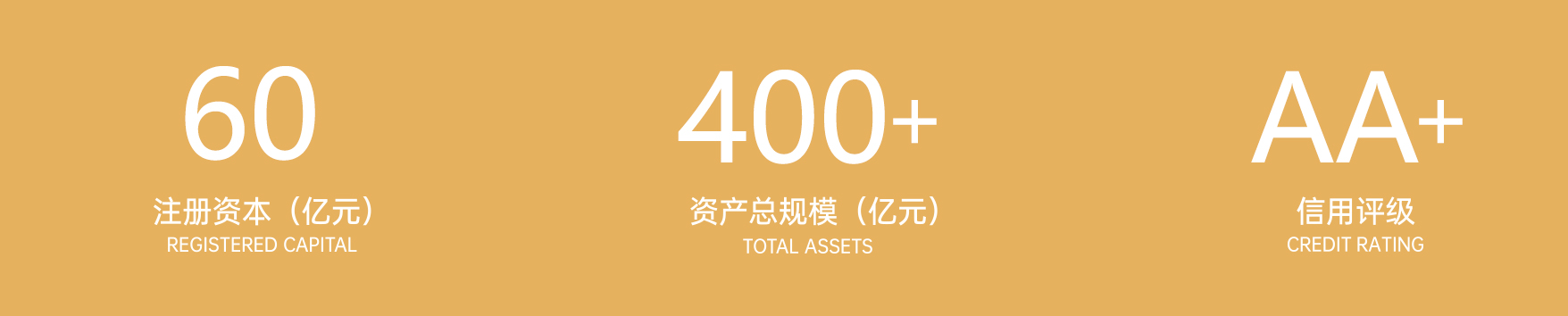 introduction 拷贝 introduction 拷贝